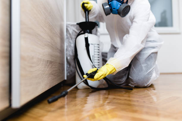 Trusted Prosperity, SC Pest Control Experts