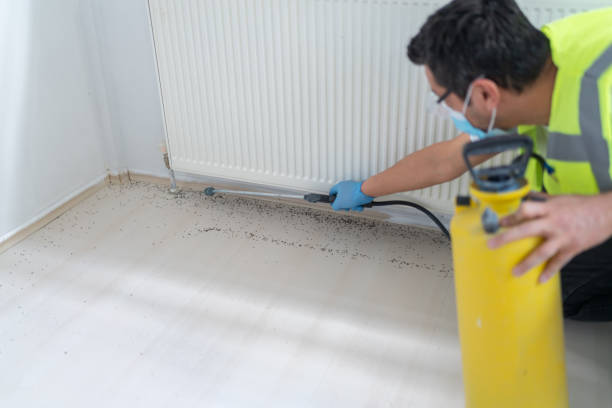 Best Pest Prevention Services  in Prosperity, SC