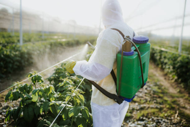 Best Exterminator Services  in Prosperity, SC